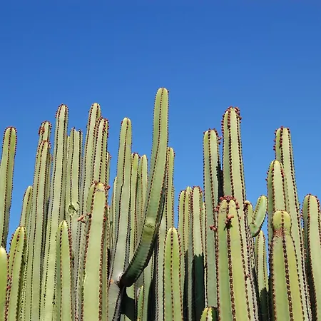 빌라 Par 4 1 Salobre Gran Canaria 라스팔마스